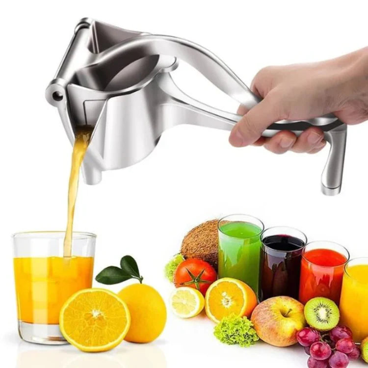 Stainless Steel Fruit Juicer – Fresh Juice in Seconds!